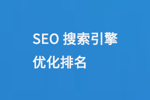 搜索引擎優(yōu)化（SEO）排名 